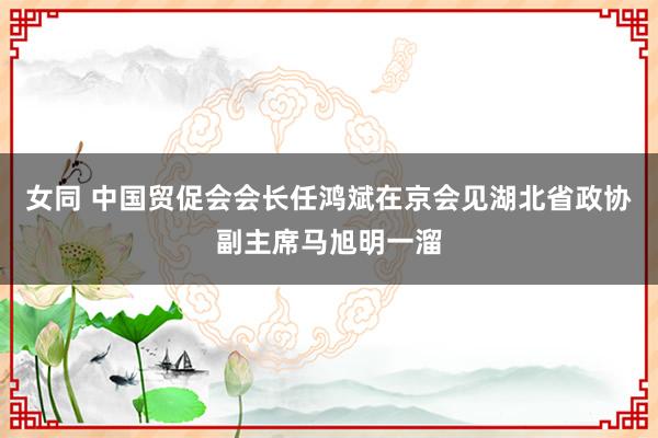 女同 中国贸促会会长任鸿斌在京会见湖北省政协副主席马旭明一溜