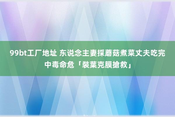 99bt工厂地址 东说念主妻採蘑菇煮菜　丈夫吃完中毒命危「裝葉克膜搶救」