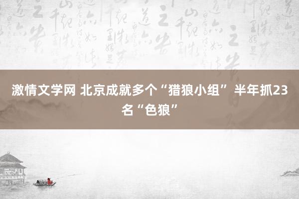 激情文学网 北京成就多个“猎狼小组” 　半年抓23名“色狼”