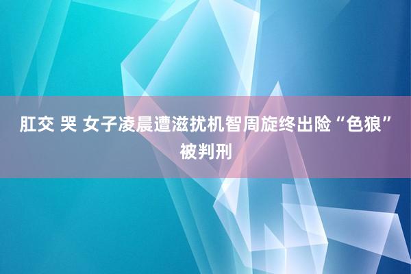 肛交 哭 女子凌晨遭滋扰机智周旋终出险　“色狼”被判刑