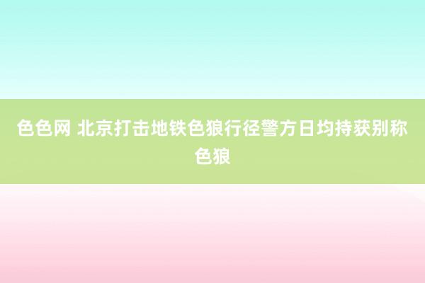 色色网 北京打击地铁色狼行径　警方日均持获别称色狼